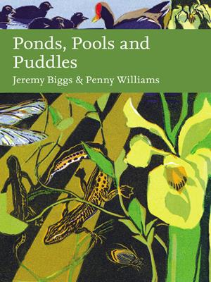 Ponds, pools and puddles [electronic resource]. Jeremy Biggs. 