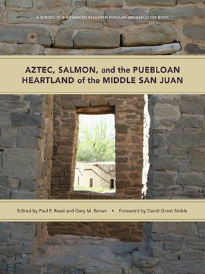 Aztec, salmon, and the puebloan heartland of the middle san juan [electronic resource]. Paul F Reed. 