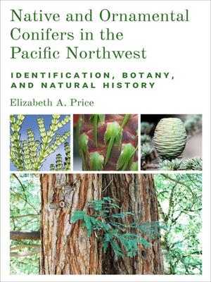 Native and ornamental conifers in the pacific northwest [electronic resource] : Identification, botany and natural history. Elizabeth A Price. 