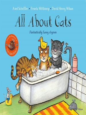 All about cats [electronic resource] : Fantastically funny rhymes. Axel Scheffler. 