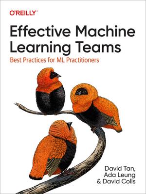 Effective machine learning teams [electronic resource]. David Tan. 