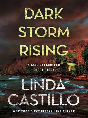 Dark storm rising [electronic resource]. Linda Castillo. 