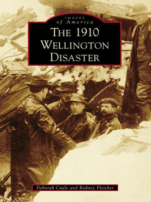 The 1910 wellington disaster [electronic resource]. Deborah Cuyle. 