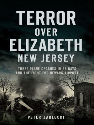 Terror over elizabeth, new jersey [electronic resource] : Three plane crashes in 58 days and the fight for newark airport. Peter Zablocki. 