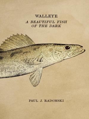 Walleye [electronic resource] : A beautiful fish of the dark. Paul J Radomski. 