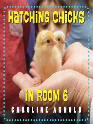 Hatching chicks in room 6 [electronic resource]. Caroline Arnold. 
