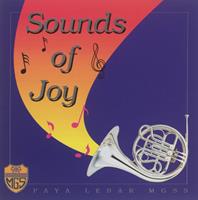 Sounds of joy : Paya Lebar MGSS