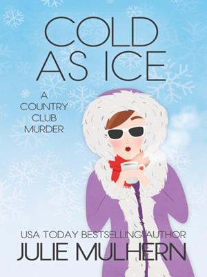 Cold as ice [electronic resource]. Julie Mulhern. 