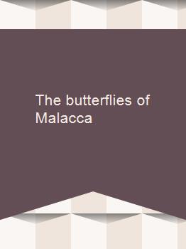 The butterflies of Malacca