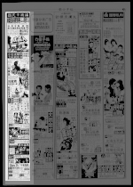 第31页 广告 专栏 1