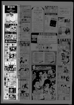 第13页 广告 专栏 1