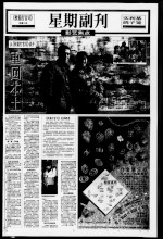 从《秋菊打官司》谈开 重回本土