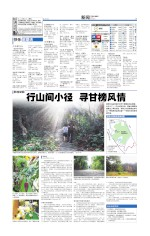 快乐星期天