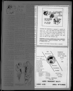 Page 13 Advertisements Column 1