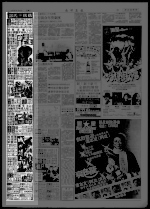 第31页 广告 专栏 1
