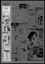 第30页 广告 专栏 1
