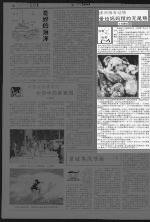 澳洲稀有动物 爱给妈妈揹的无尾熊