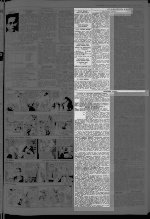 Page 13 Advertisements Column 4
