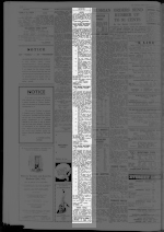 Page 12 Advertisements Column 3