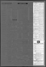 Page 20 Advertisements Column 6