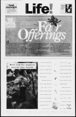 Page thumbnail