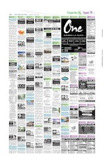 Page thumbnail