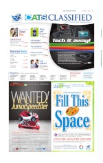 Page thumbnail